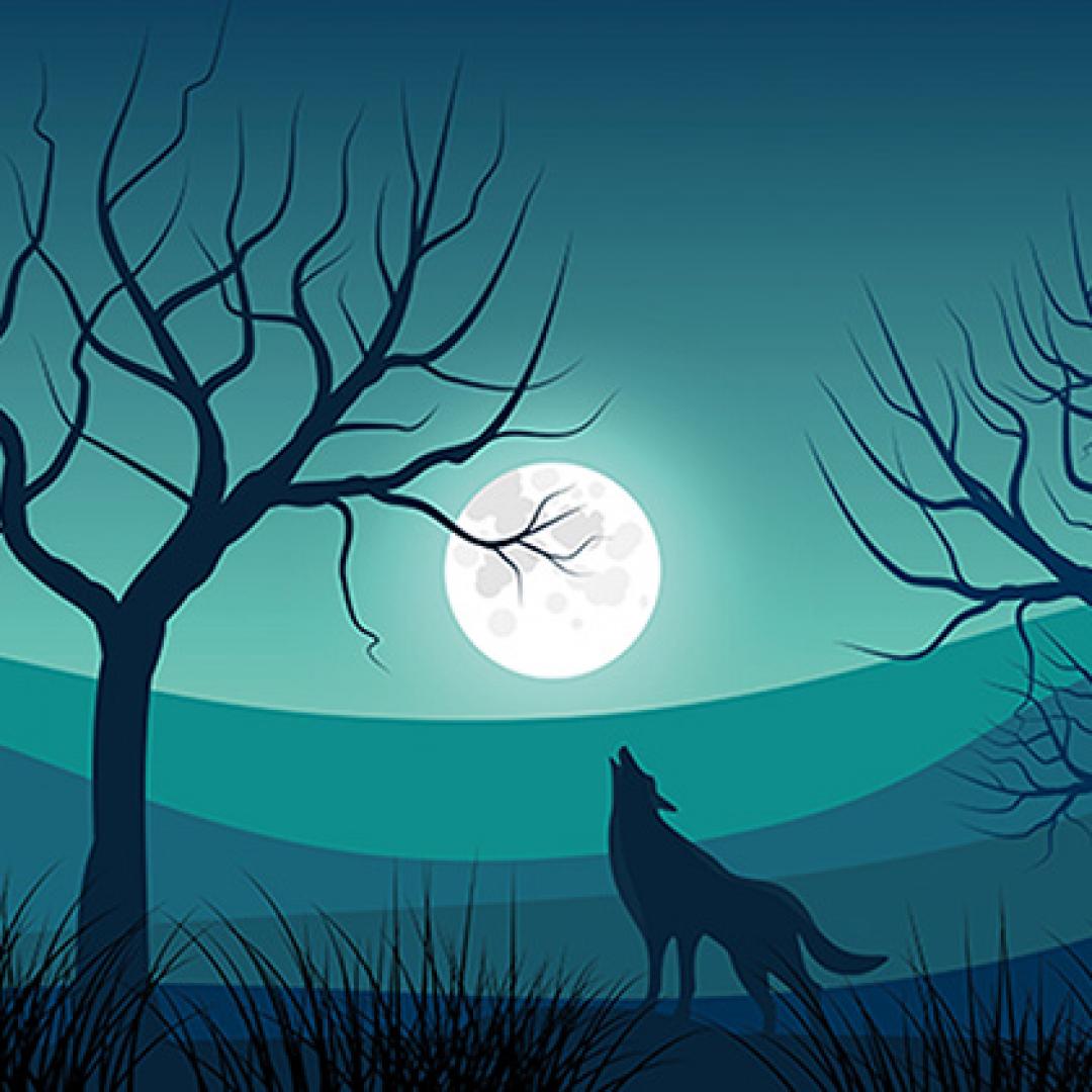 Peter und der Wolf