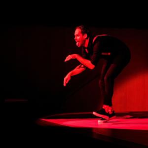 Pavol Seriš – DADA Revue