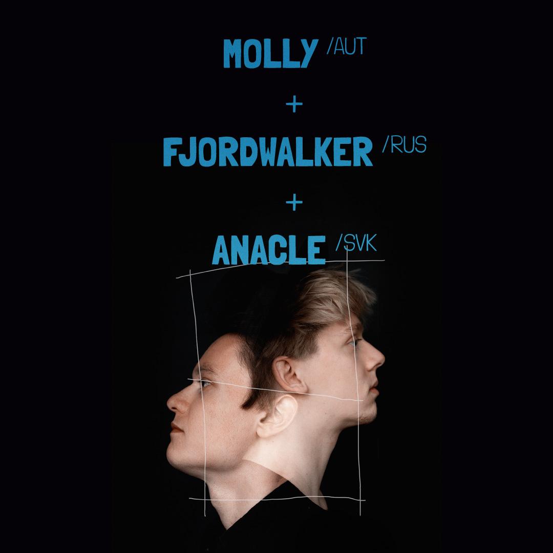 Konzert: MOLLY (AUT, Fjordwalker / RUS, Anacle / SVK) / Trnava