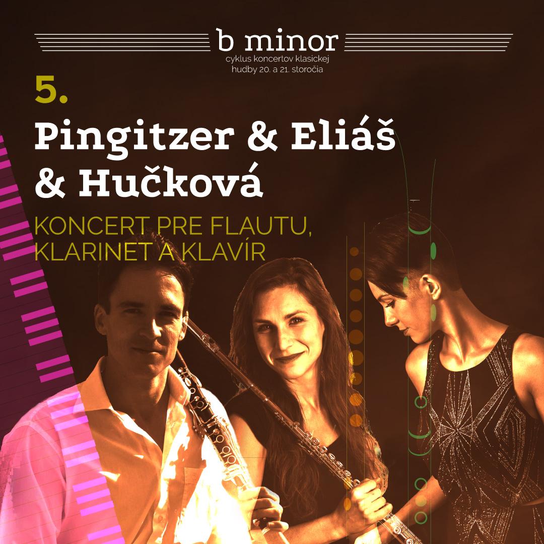 Pingitzer & Eliáš & Hučková / b minor / Trnava