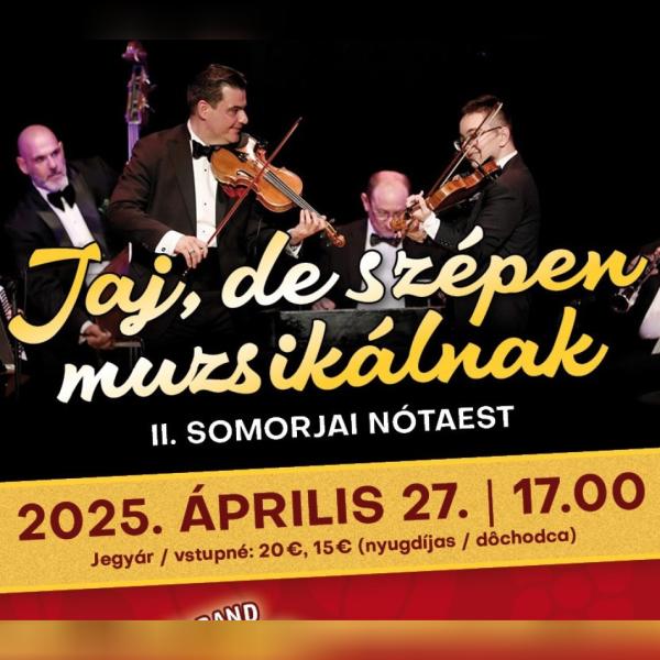 Jaj,de szépen muzsikálnak - II.nótaest