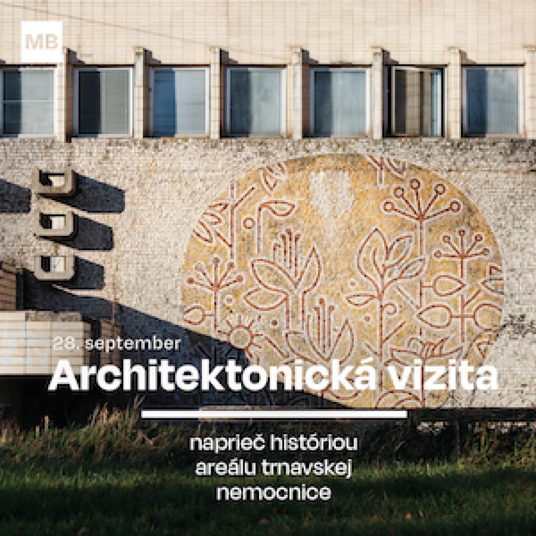 Architektonická vizita