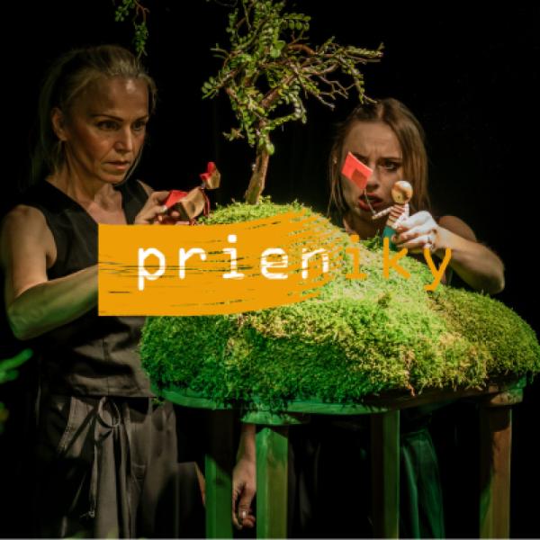 FESTIVAL PRIENIKY: A PREČO? – Bábkové divadlo na Rázcestí (SK)