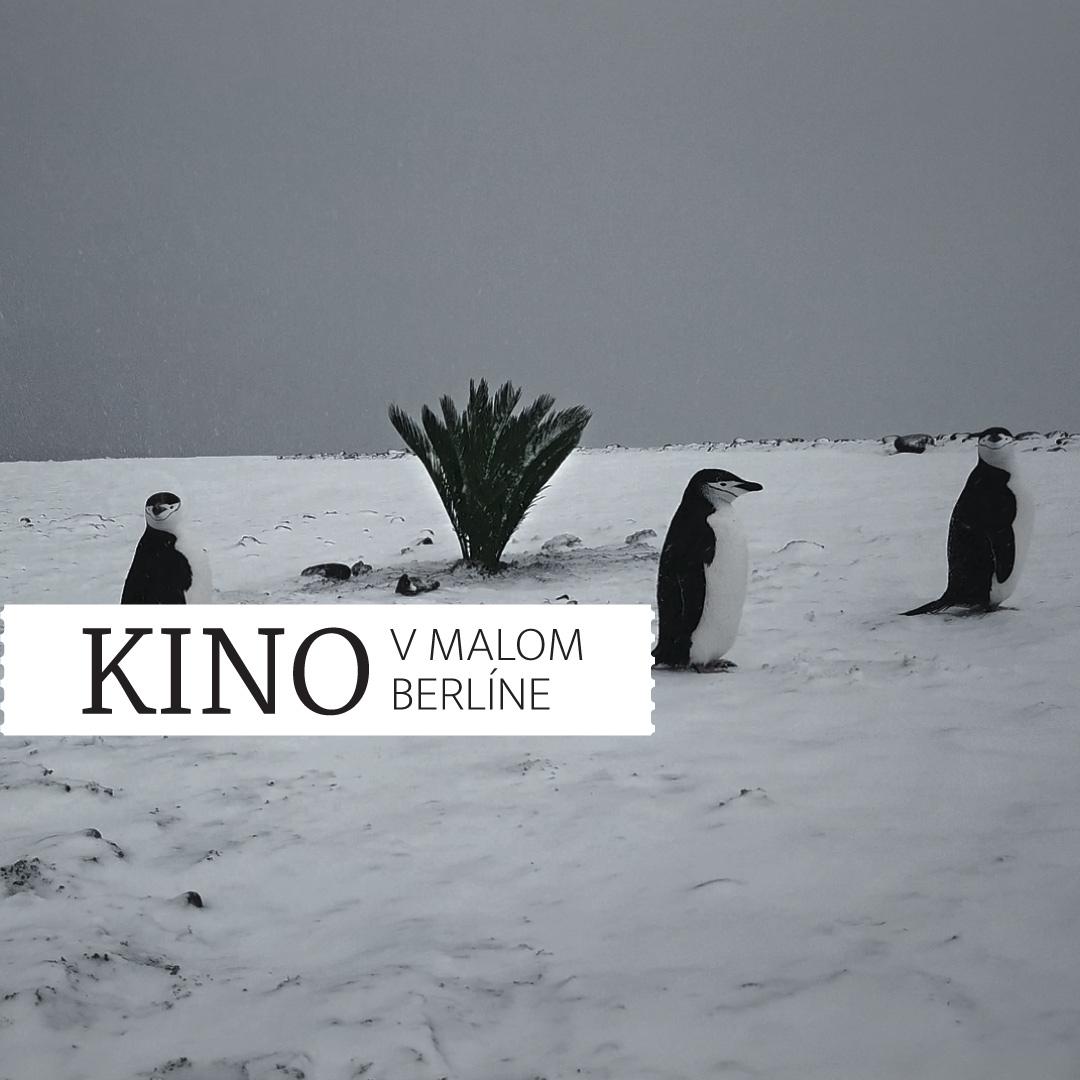 Kino: FREM + diskusia s režisérkou Vierou Čákanyovou / Trnava