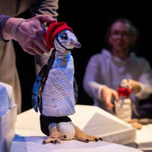 Tučniak s červenou čiapočkou